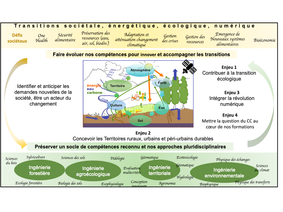 Agronomy, Forestry, Water and Environmental Sciences and Engineering ...