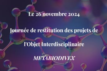 Metabiodivex
