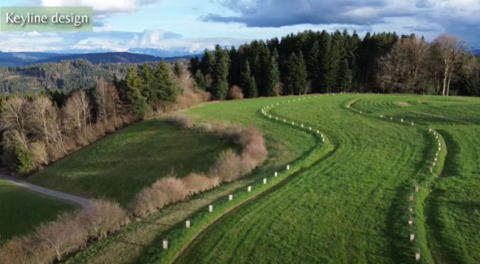 Documentaire "Sols couverts d'espoir"