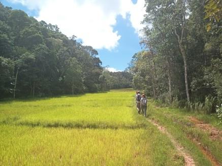 SPO_MS_FNS_MI_2024_12_12